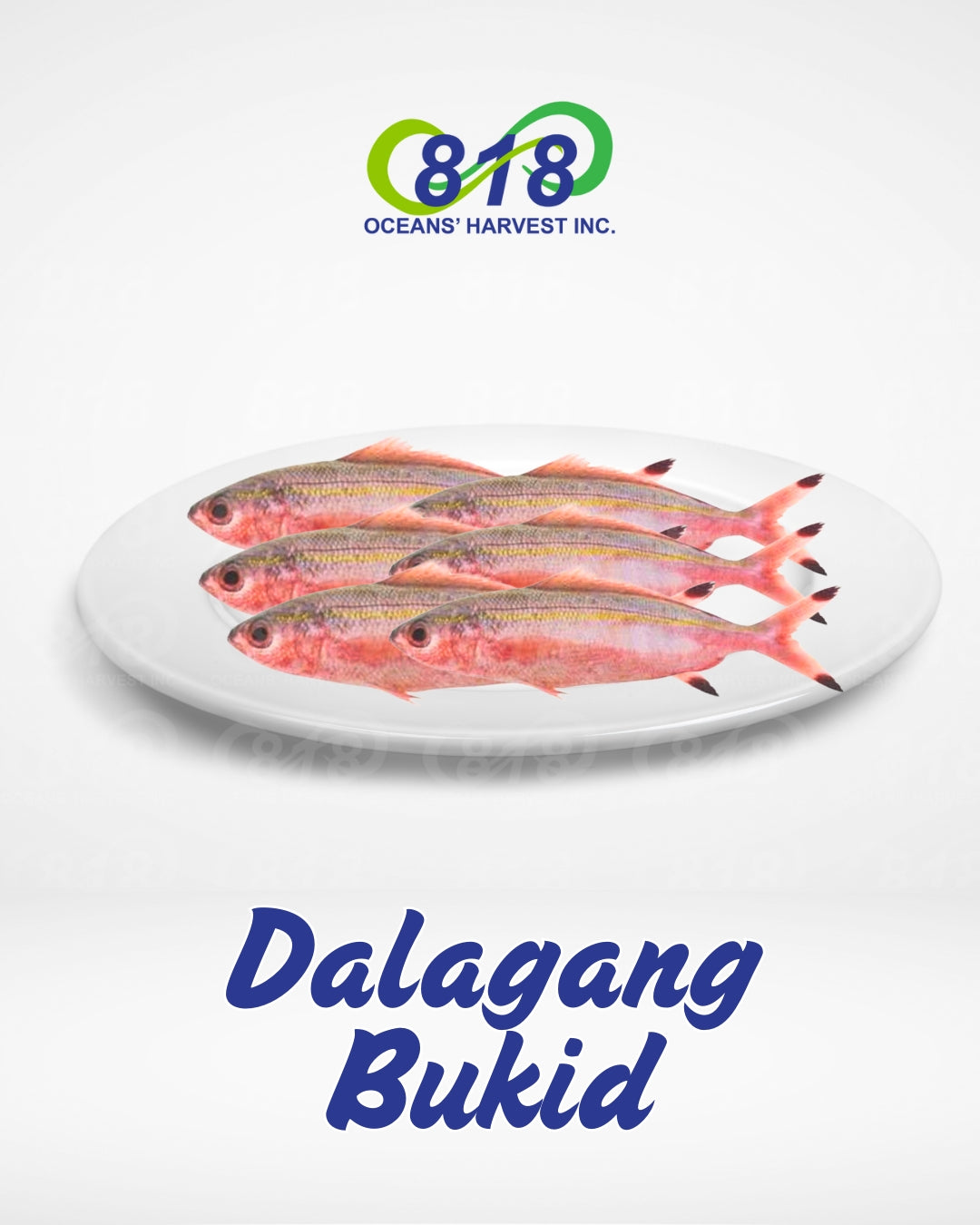 Dalagang Bukid