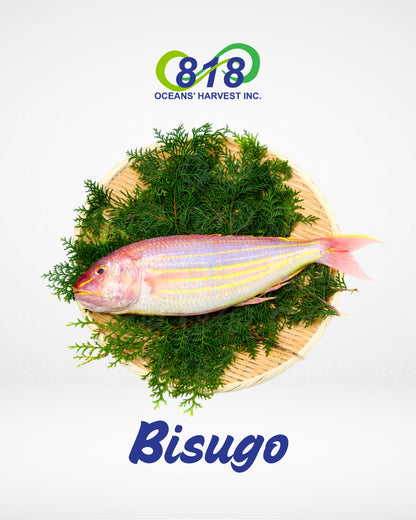 Bisugo
