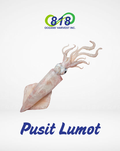 Pusit Lumot
