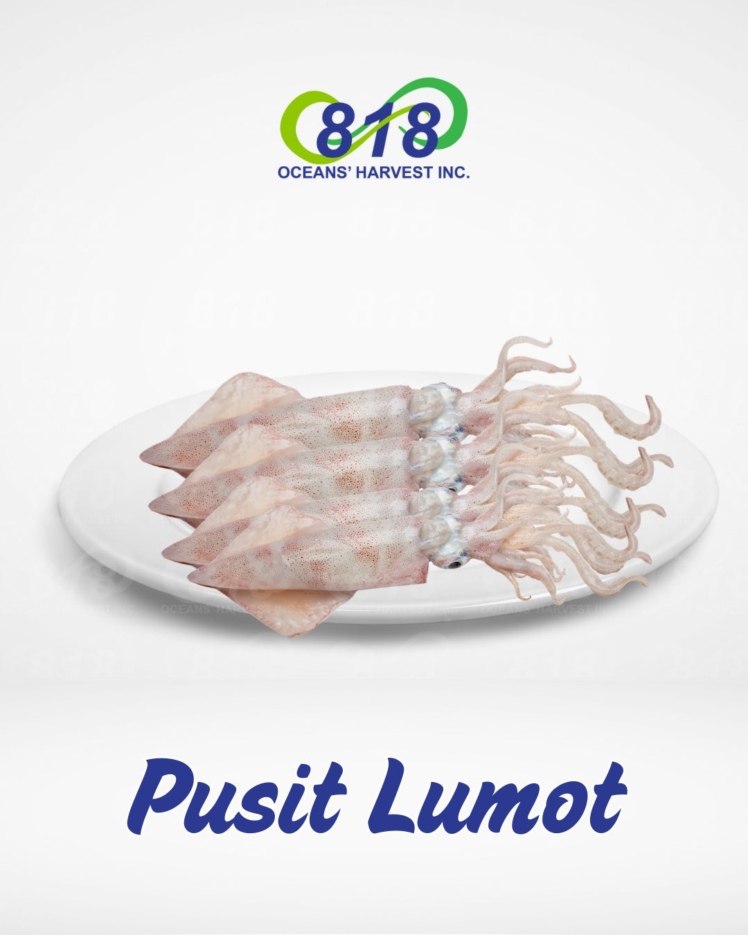 Pusit Lumot