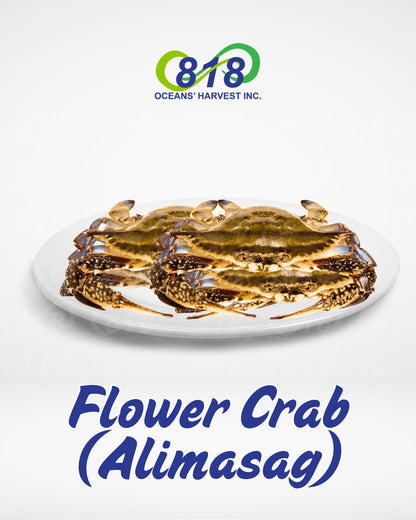 Alimasag (Flower Crab)