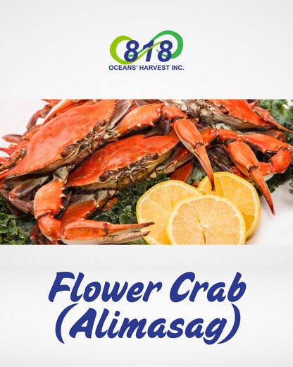 Alimasag (Flower Crab)