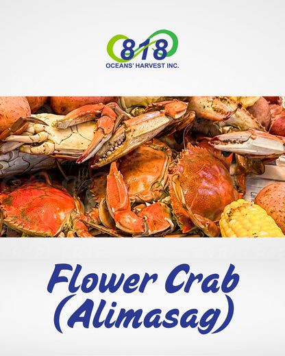 Alimasag (Flower Crab)