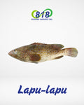 Lapu-lapu