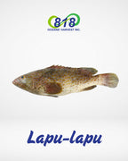 Lapu-lapu