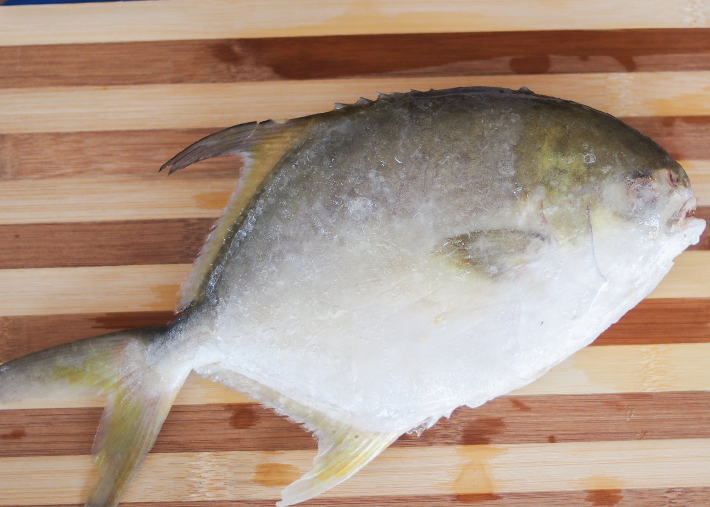 Pampano Fish 10kg