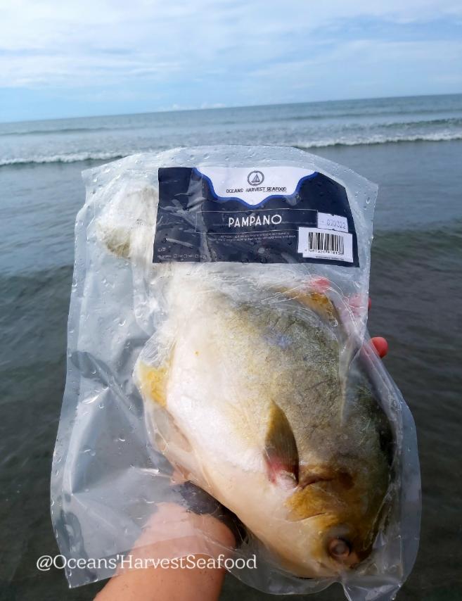 Pampano Fish