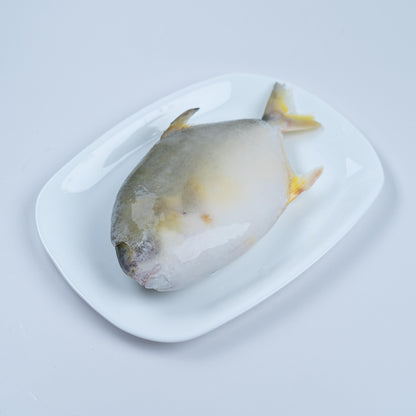 Pampano Fish
